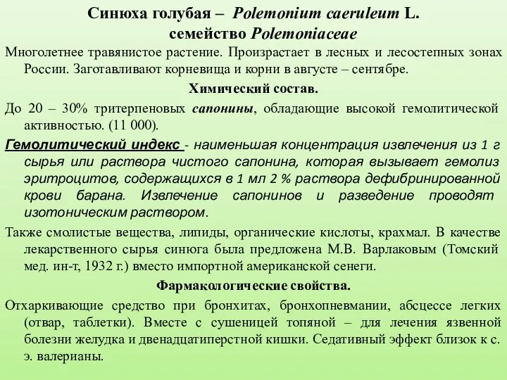 Синюха голубая – Polemonium caeruleum L. семейство Polemoniaceae Многолетнее травянистое