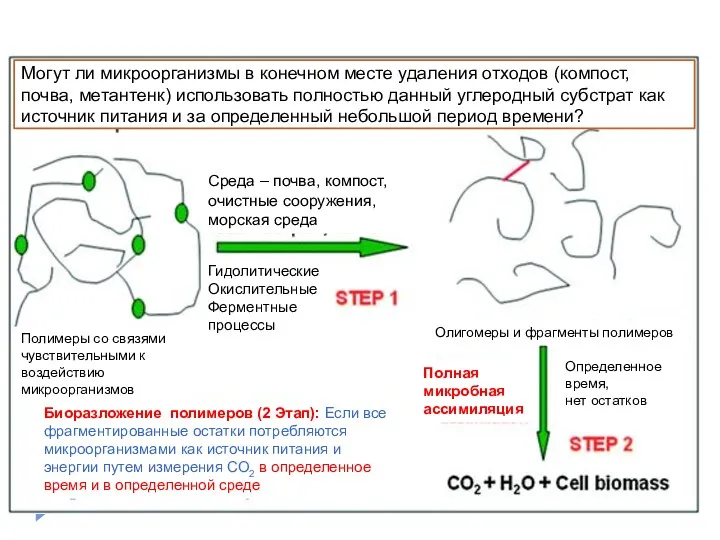 Могут ли микроорганизмы в конечном месте удаления отходов (компост, почва,