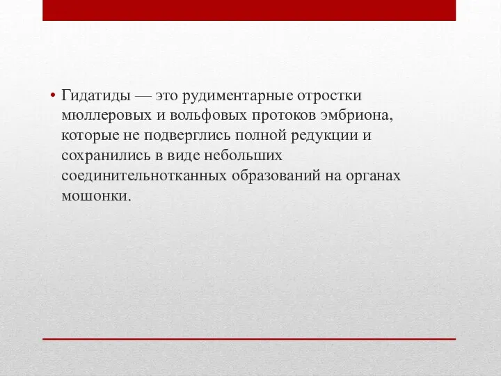 Гидатиды — это рудиментарные отростки мюллеровых и вольфовых протоков эмбриона,