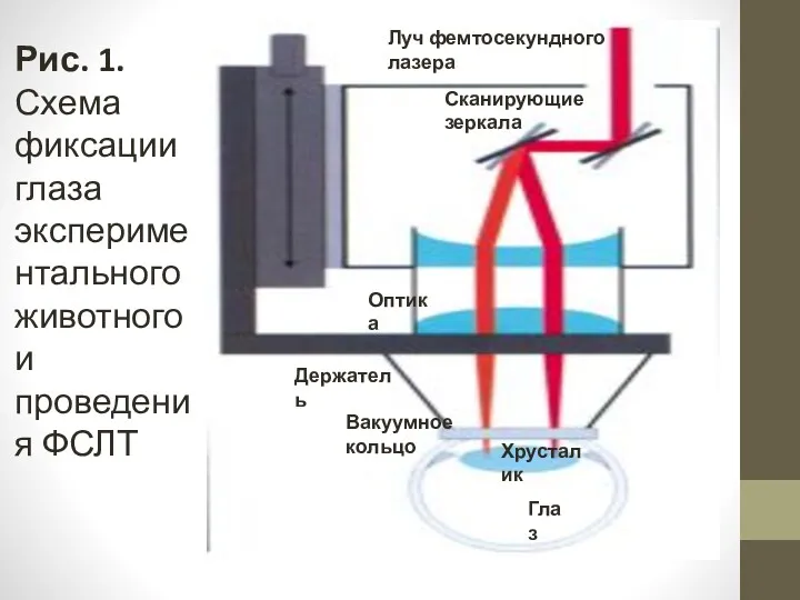 Луч фемтосекундного лазера Сканирующие зеркала Оптика Держатель Вакуумное кольцо Хрусталик