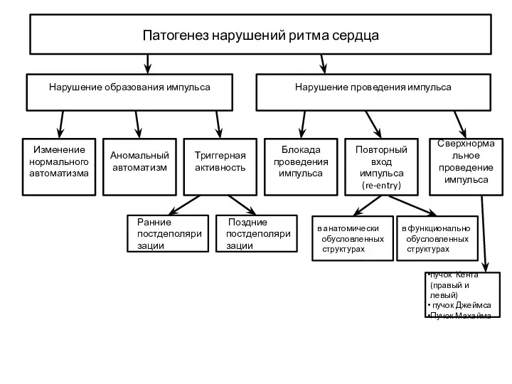 Патогенез нарушений ритма сердца Нарушение образования импульса Нарушение проведения импульса