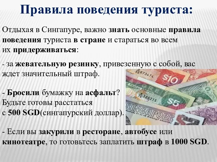 Правила поведения туриста: Отдыхая в Сингапуре, важно знать основные правила поведения туриста в