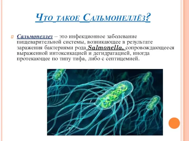 Что такое Сальмонеллёз? Сальмонеллез – это инфекционное заболевание пищеварительной системы, возникающее в результате