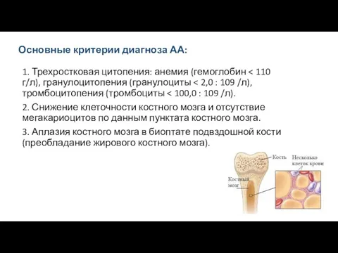 Основные критерии диагноза АА: 1. Трехростковая цитопения: анемия (гемоглобин 2.