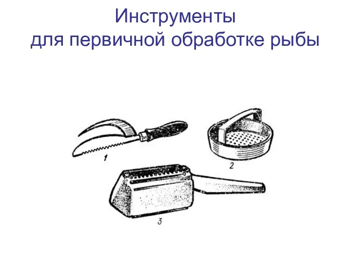 Инструменты для первичной обработке рыбы