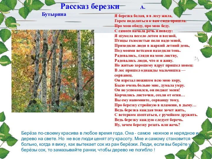 Берёза по-своему красива в любое время года. Она - самое