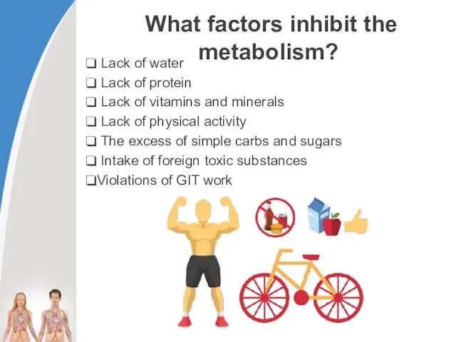 What factors inhibit the metabolism? Lack of water Lack of protein Lack of