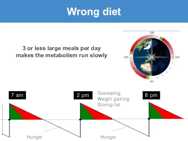 Wrong diet Hunger Hunger Overeating Weight gaining Storing fat 7 am 8 pm