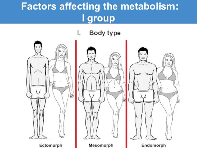 Factors affecting the metabolism: l group Body type