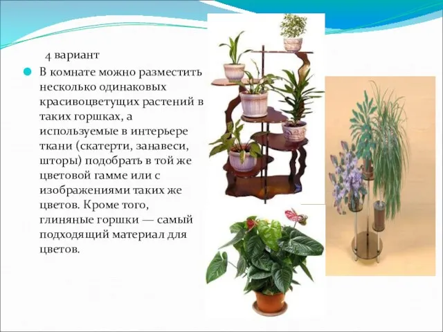 4 вариант В комнате можно разместить несколько одинаковых красивоцветущих растений