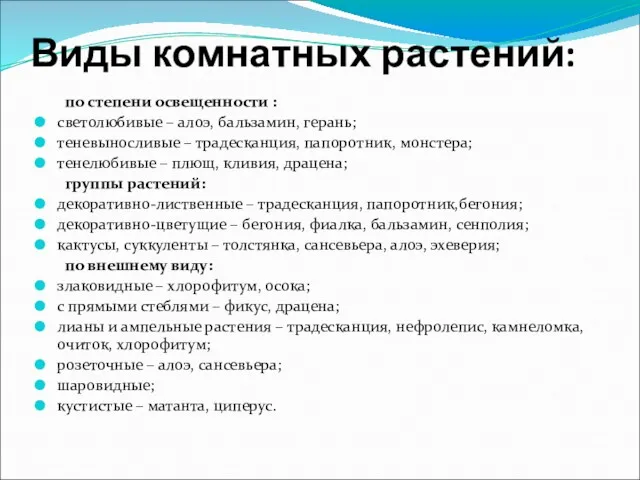 Виды комнатных растений: по степени освещенности : светолюбивые – алоэ,