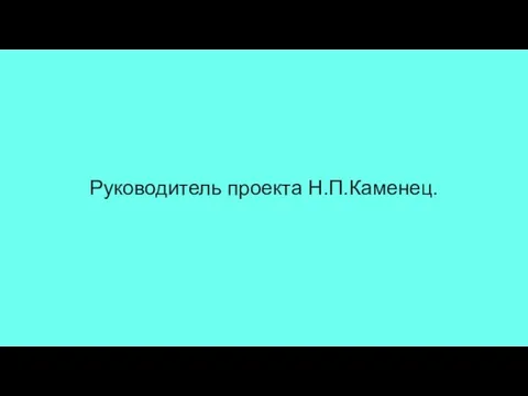 Руководитель проекта Н.П.Каменец.