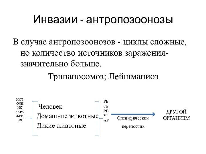 Инвазии - антропозоонозы В случае антропозоонозов - циклы сложные, но