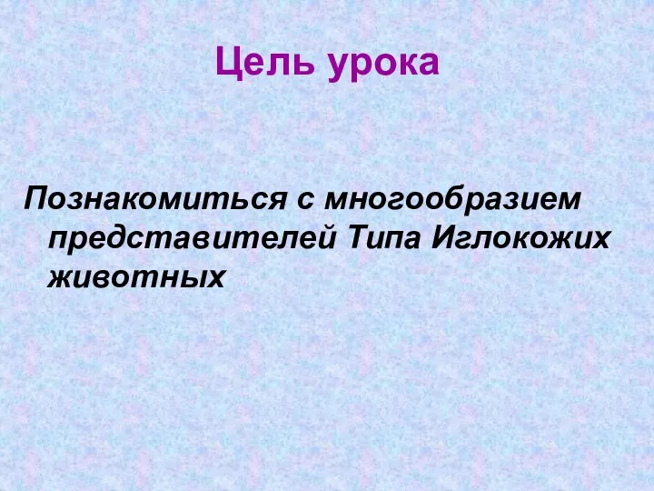 Цель урока Познакомиться с многообразием представителей Типа Иглокожих животных