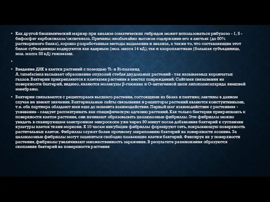 Как другой биохимический маркер при анализе соматических гибридов может использоваться