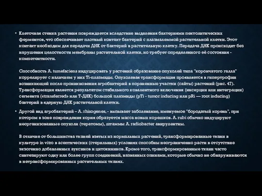 Клеточная стенка растения повреждается вследствие выделения бактериями пектолитических ферментов, что