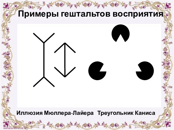 Примеры гештальтов восприятия Иллюзия Мюллера-Лайера Треугольник Каниса