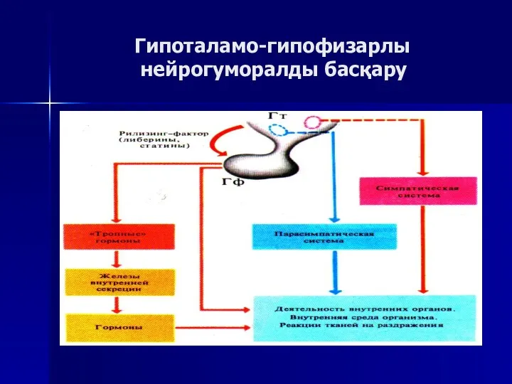 Гипоталамо-гипофизарлы нейрогуморалды басқару