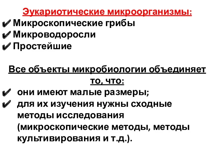 Эукариотические микроорганизмы: Микроскопические грибы Микроводоросли Простейшие Все объекты микробиологии объединяет