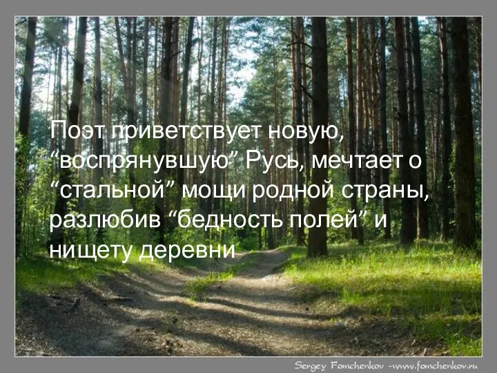 Поэт приветствует новую, “воспрянувшую” Русь, мечтает о “стальной” мощи родной