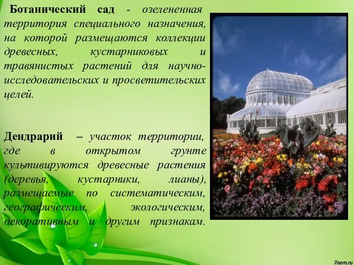 Ботанический сад - озелененная территория специального назначения, на которой размещаются