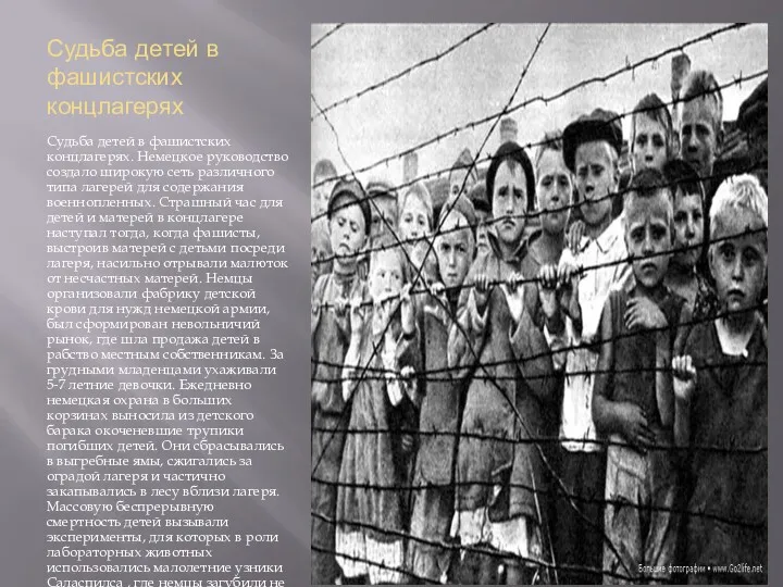 Судьба детей в фашистских концлагерях Судьба детей в фашистских концлагерях. Немецкое руководство создало