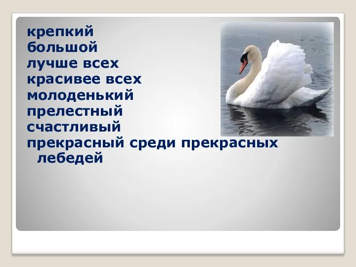 крепкий большой лучше всех красивее всех молоденький прелестный счастливый прекрасный среди прекрасных лебедей