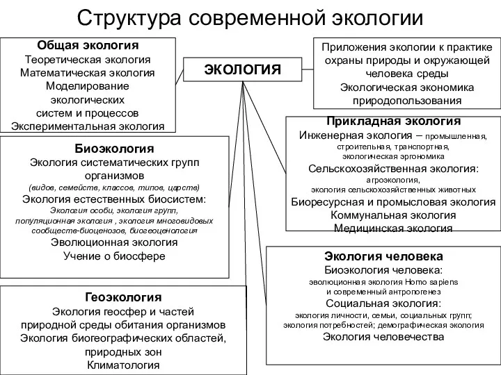 Структура современной экологии ЭКОЛОГИЯ Общая экология Теоретическая экология Математическая экология