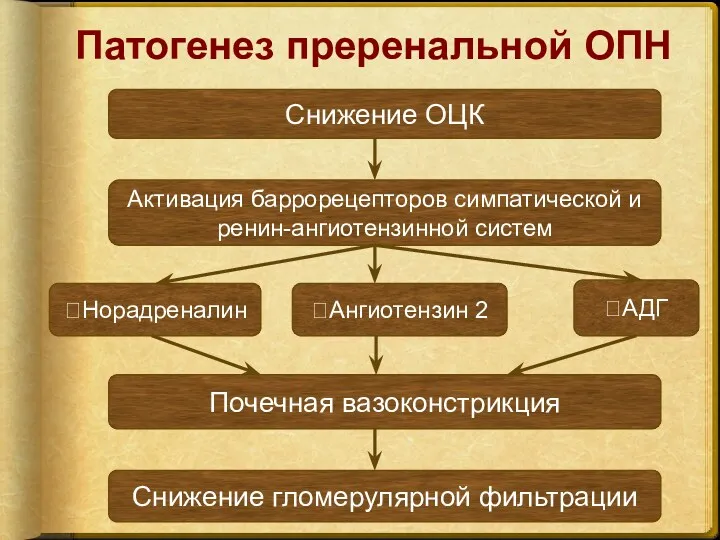 Патогенез преренальной ОПН Снижение ОЦК ?Норадреналин ?Ангиотензин 2 ?АДГ Активация