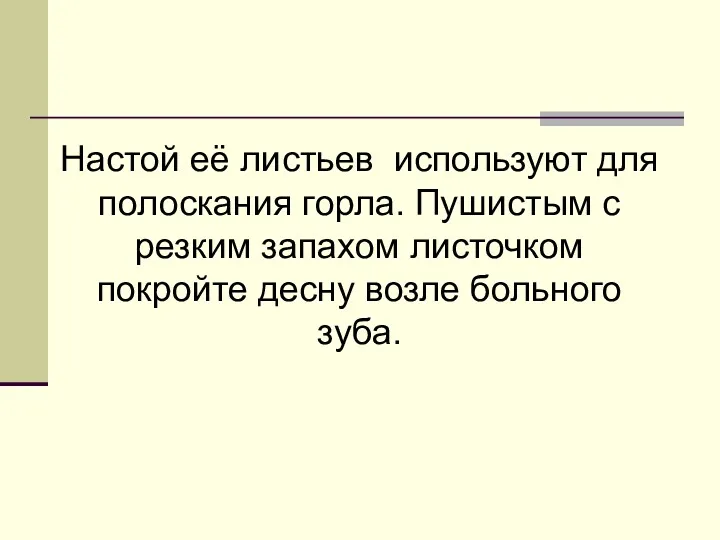 Настой её листьев используют для полоскания горла. Пушистым с резким