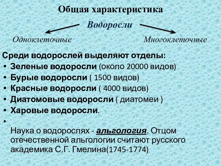 Среди водорослей выделяют отделы: Зеленые водоросли (около 20000 видов) Бурые