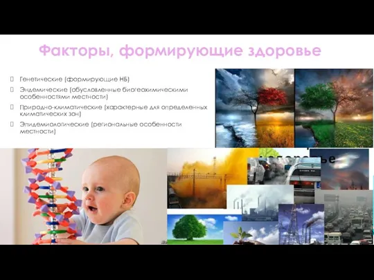 Факторы, формирующие здоровье Генетические (формирующие НБ) Эндемические (обусловленные биогеохимическими особенностями