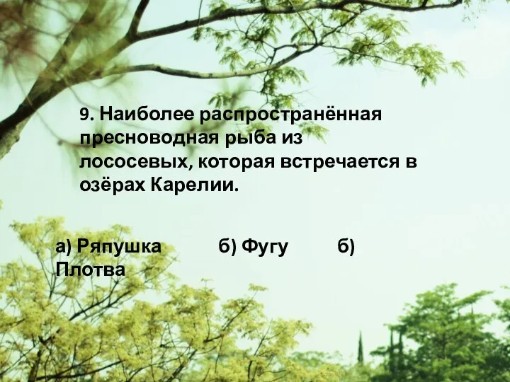 9. Наиболее распространённая пресноводная рыба из лососевых, которая встречается в