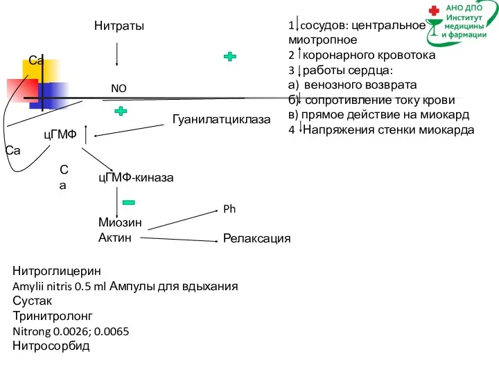 1 cосудов: центральное, миотропное 2 коронарного кровотока 3 работы сердца: