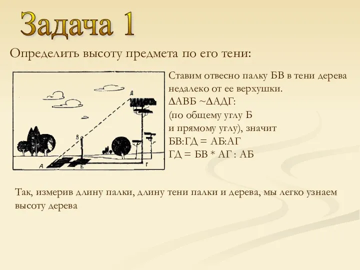 Задача 1 Определить высоту предмета по его тени: Ставим отвесно