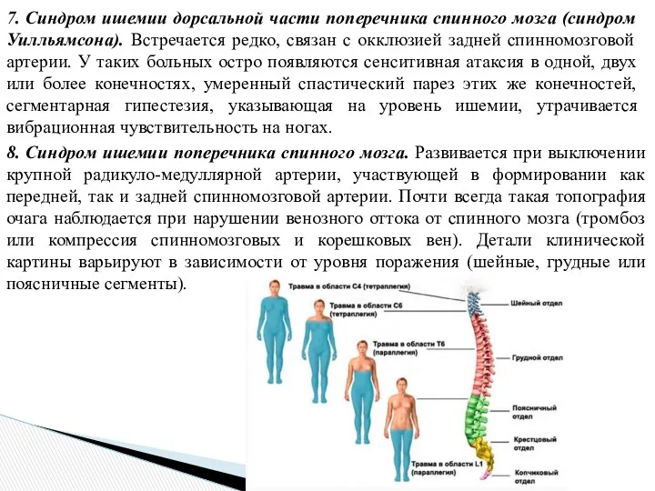 7. Синдром ишемии дорсальной части поперечника спинного мозга (синдром Уилльямсона).