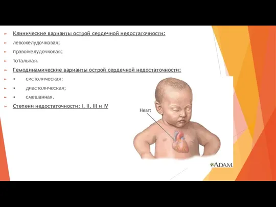 Клинические варианты острой сердечной недостаточности: левожелудочковая; правожелудочковая; тотальная. Гемодинамические варианты