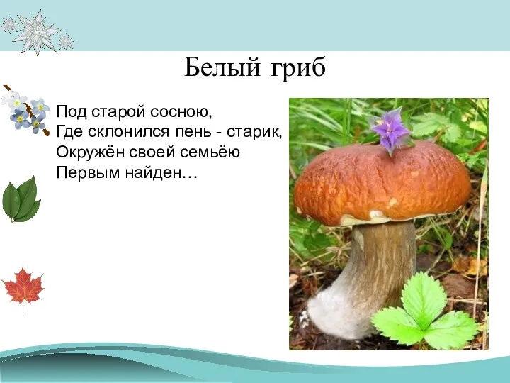 Белый гриб Под старой сосною, Где склонился пень - старик, Окружён своей семьёю Первым найден…