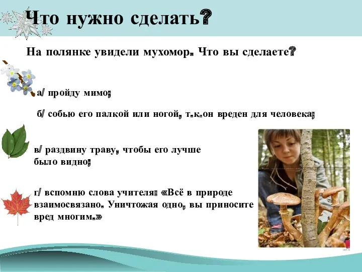 Что нужно сделать? На полянке увидели мухомор. Что вы сделаете?