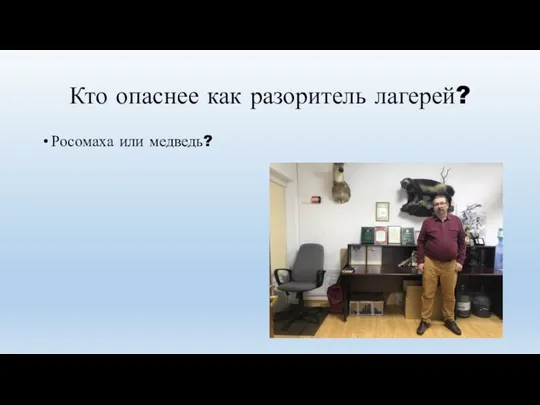 Кто опаснее как разоритель лагерей? Росомаха или медведь?