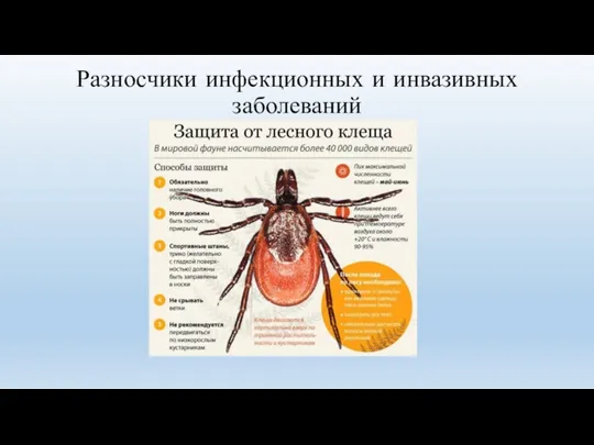 Разносчики инфекционных и инвазивных заболеваний