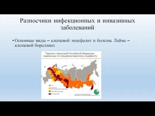 Разносчики инфекционных и инвазивных заболеваний Основные виды – клещевой энцефалит и болезнь Лайма – клещевой бореллиоз