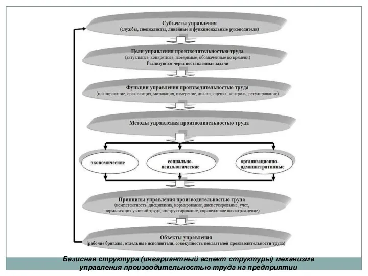 Базисная структура (инвариантный аспект структуры) механизма управления производительностью труда на предприятии