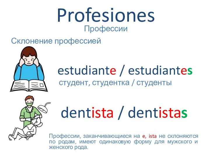 Profesiones Профессии Склонение профессией estudiante / estudiantes dentista / dentistas