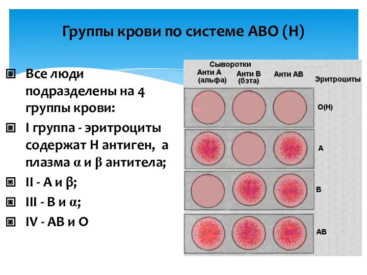 Группы крови по системе АВО (Н) Все люди подразделены на