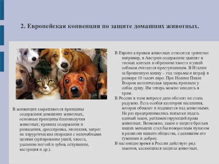 2. Европейская конвенция по защите домашних животных. В конвенции закрепляются