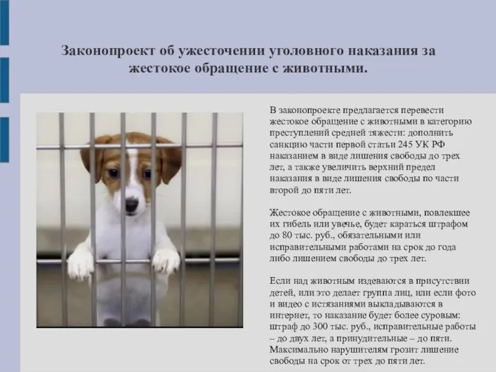 Законопроект об ужесточении уголовного наказания за жестокое обращение с животными.