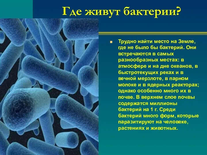 Где живут бактерии? Трудно найти место на Земле, где не