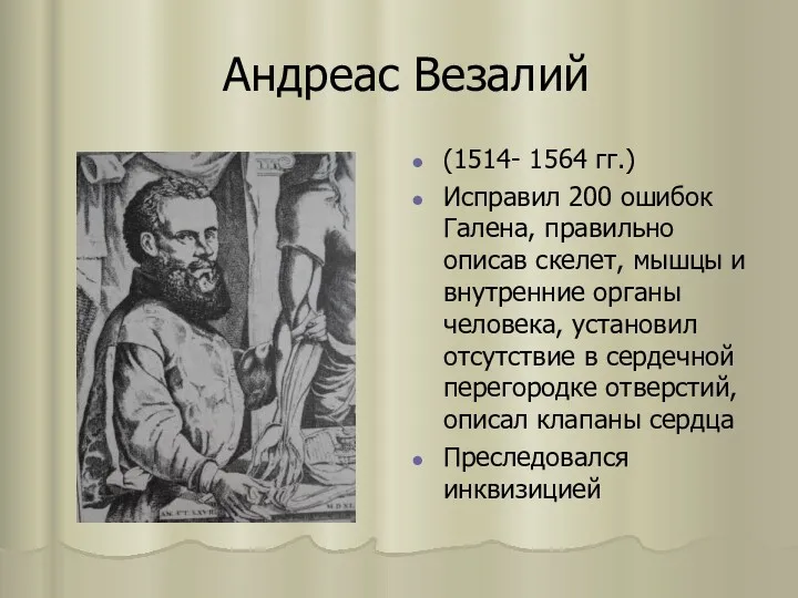 Андреас Везалий (1514- 1564 гг.) Исправил 200 ошибок Галена, правильно