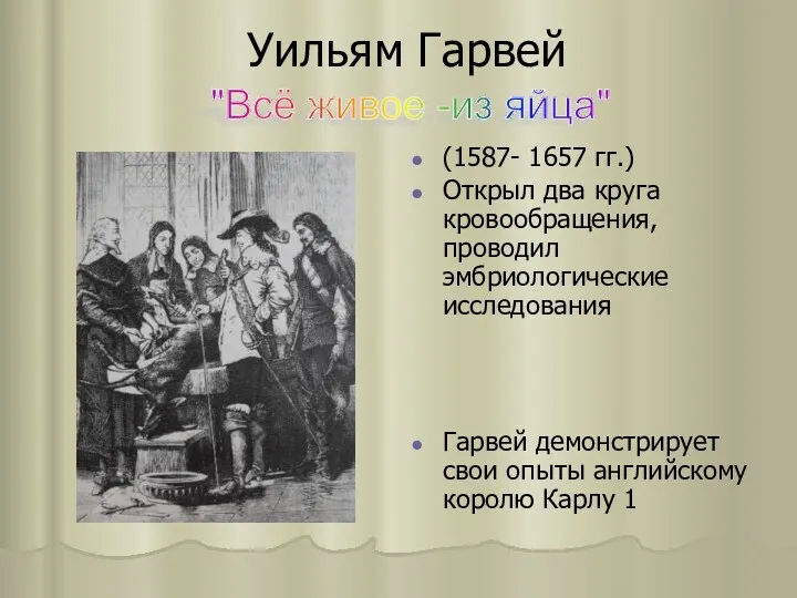 Уильям Гарвей (1587- 1657 гг.) Открыл два круга кровообращения, проводил